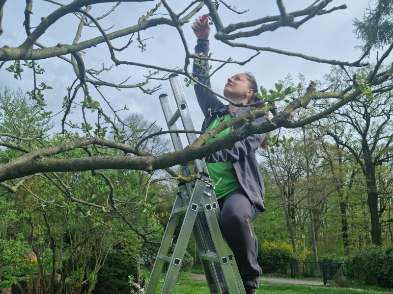 Догляд за садом, газонами, квітниками в будинку, офісі