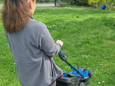 Догляд за садом, газонами, квітниками в будинку, офісі