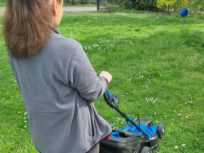 Догляд за садом, газонами, квітниками в будинку, офісі