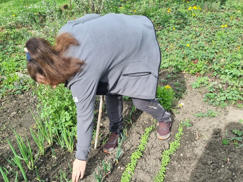 Догляд за садом, газонами, квітниками в будинку, офісі
