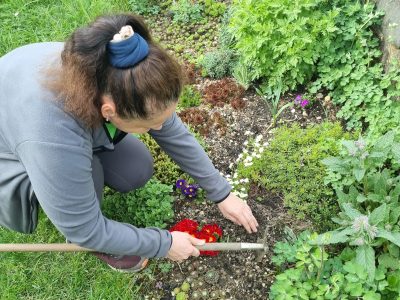 Догляд за садом, газонами, квітниками в будинку, офісі