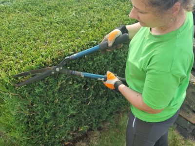 Догляд за садом, газонами, квітниками в будинку, офісі