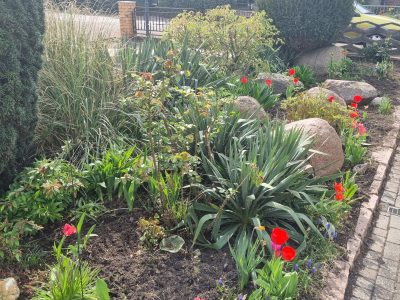 Догляд за садом, газонами, квітниками в будинку, офісі