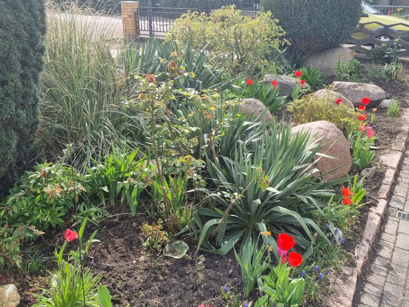 Догляд за садом, газонами, квітниками в будинку, офісі