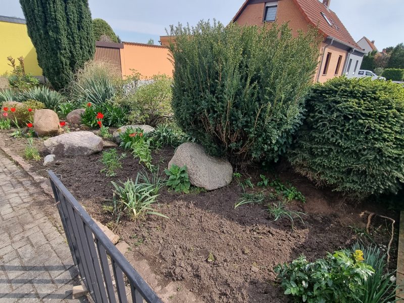 Догляд за садом, газонами, квітниками в будинку, офісі