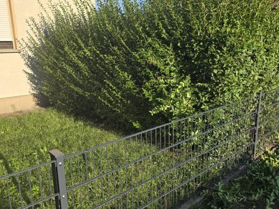 🌿 Angebot für Reinigungs- und Gartenarbeiten