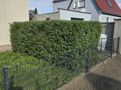 🌿 Angebot für Reinigungs- und Gartenarbeiten