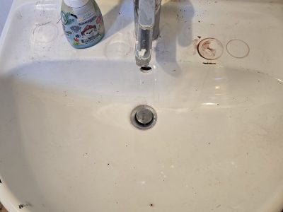 🌿 Angebot für Reinigungs- und Gartenarbeiten